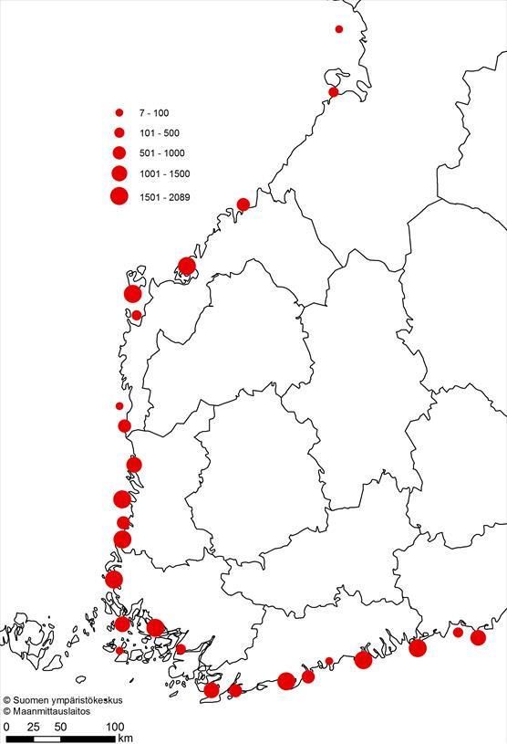 Number of cormorant nests by region in 2019